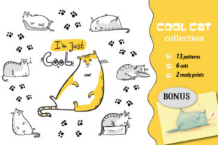 Cool Cat Collection