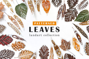 Patterned Leaves - Landart Collection